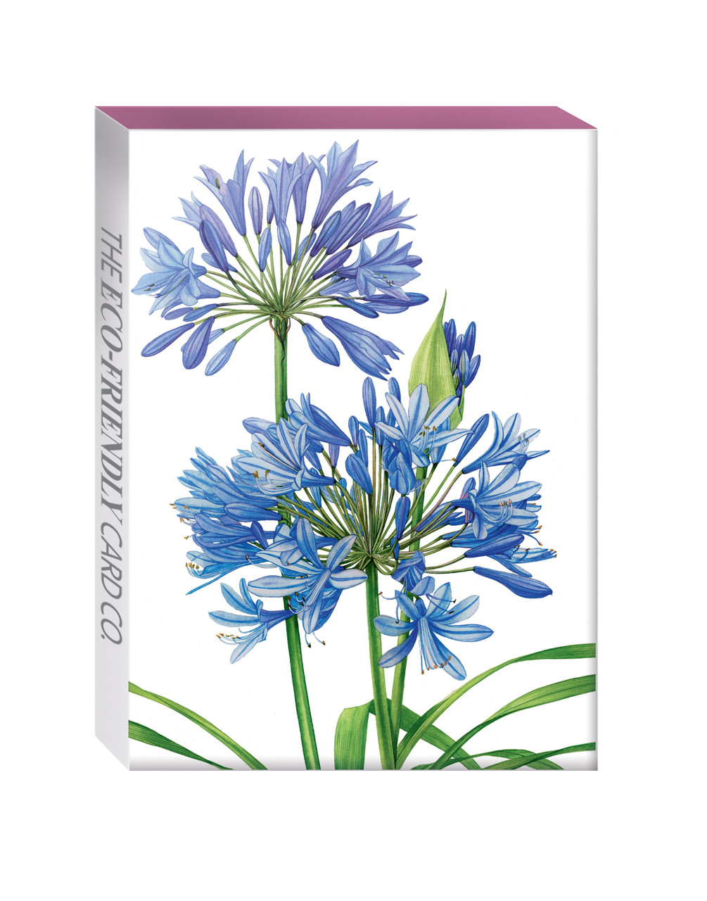 Mini kaarten box Agapanthus - Afbeelding 2