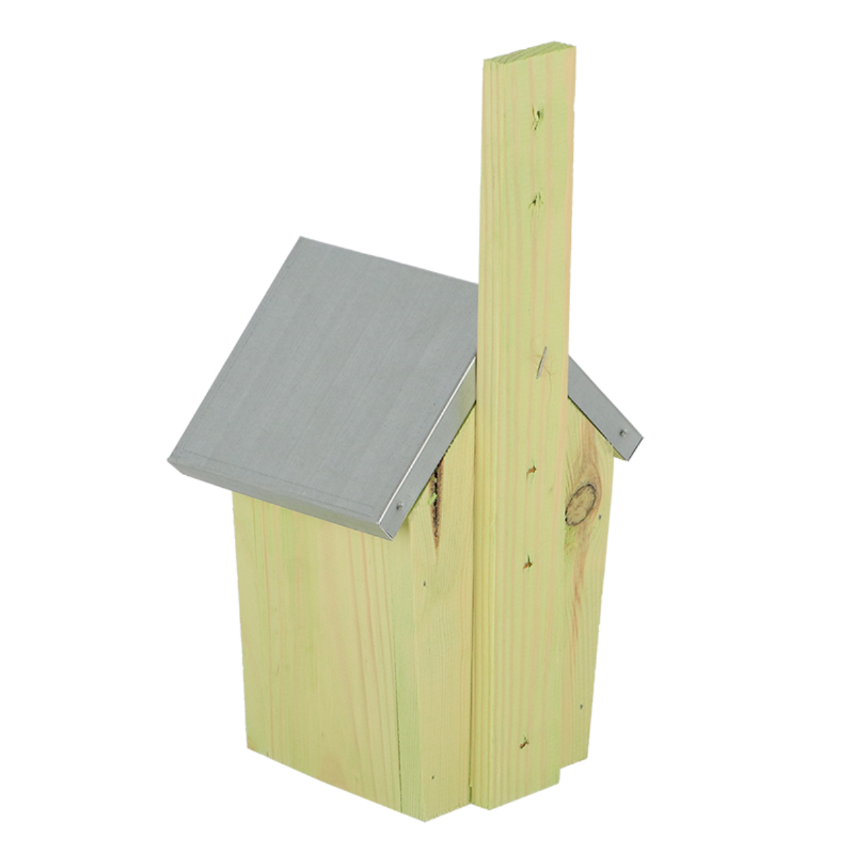 Nestkast Winterkoning - Afbeelding 4