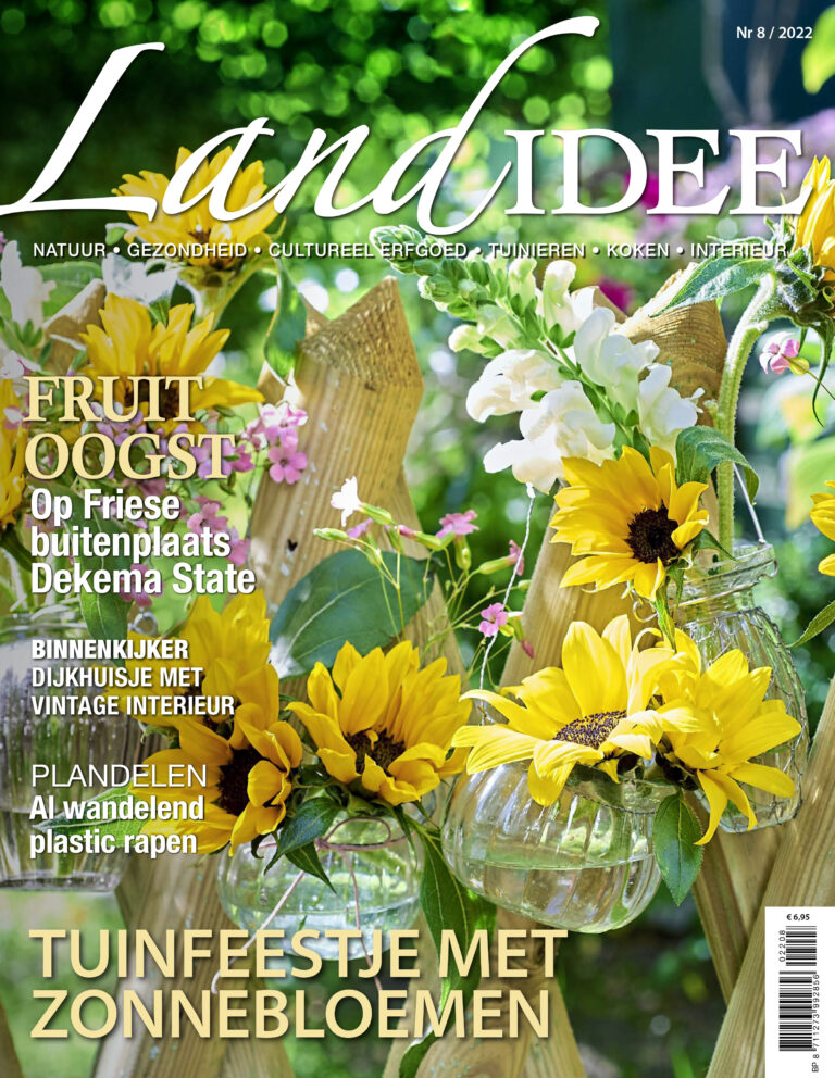 LandIdee 8-2022 - Afbeelding 2