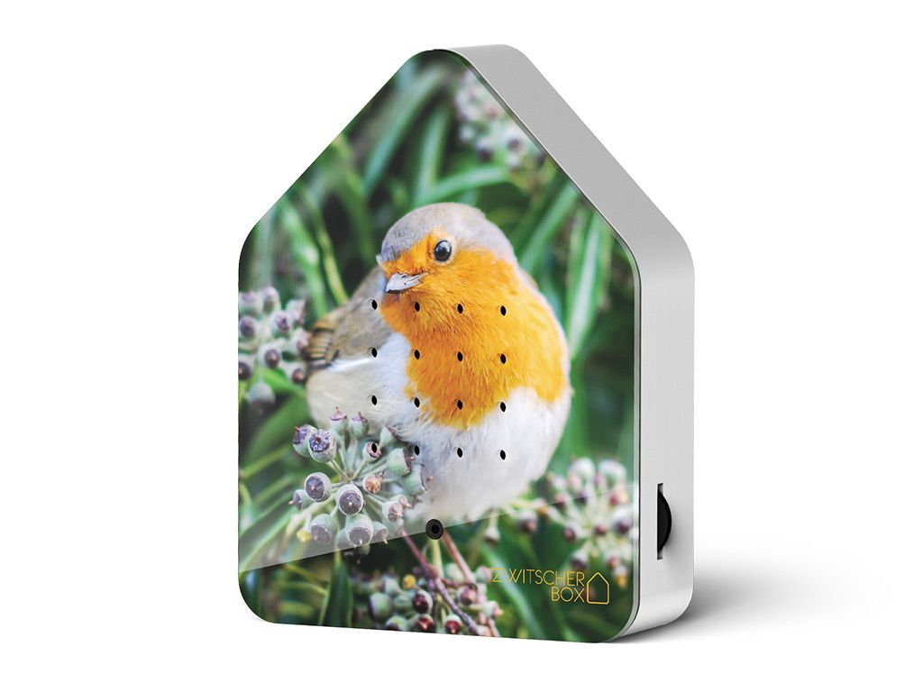 Zwitscherbox Robin Roodborst - Afbeelding 2