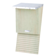 Vleermuiskast - Afbeelding 2